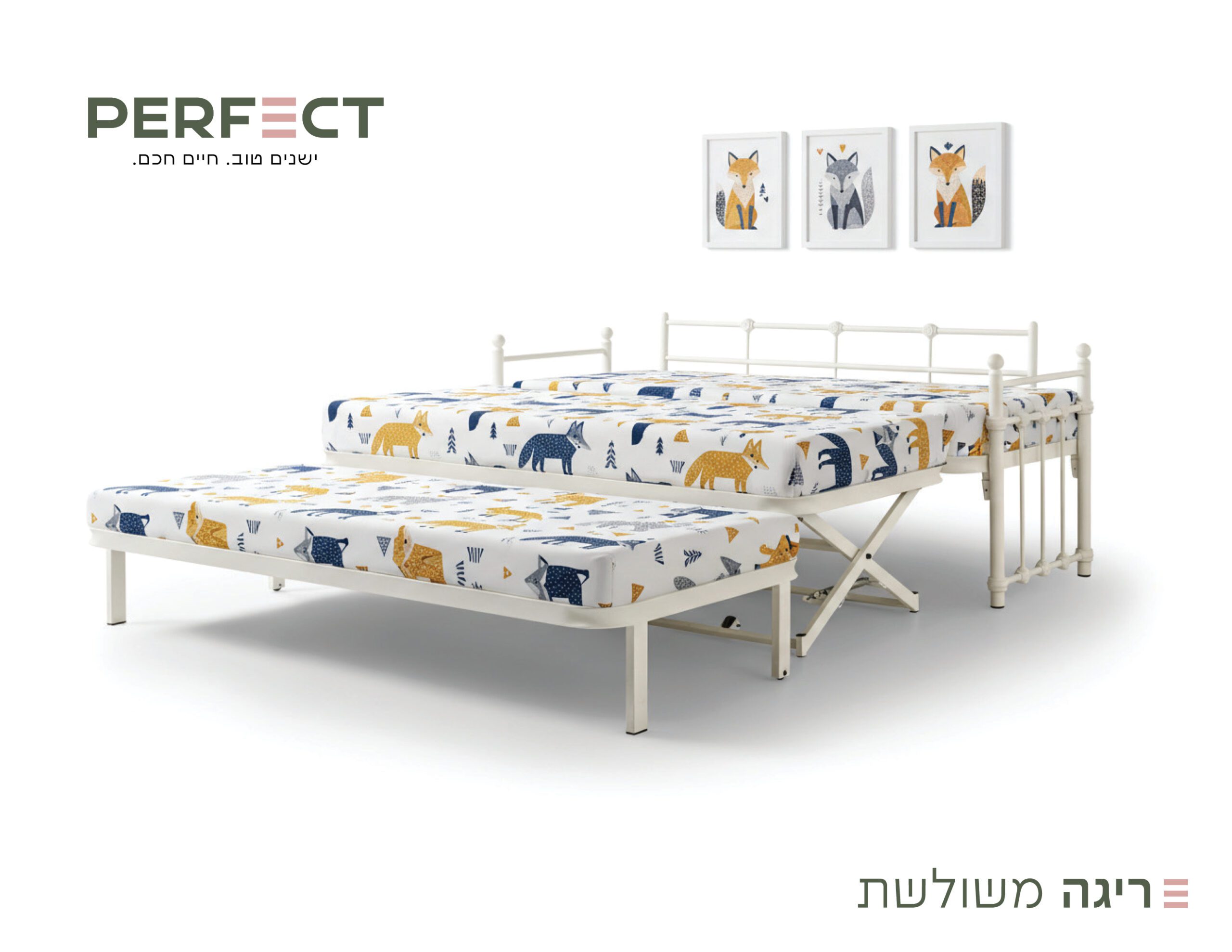 זווית נוספת